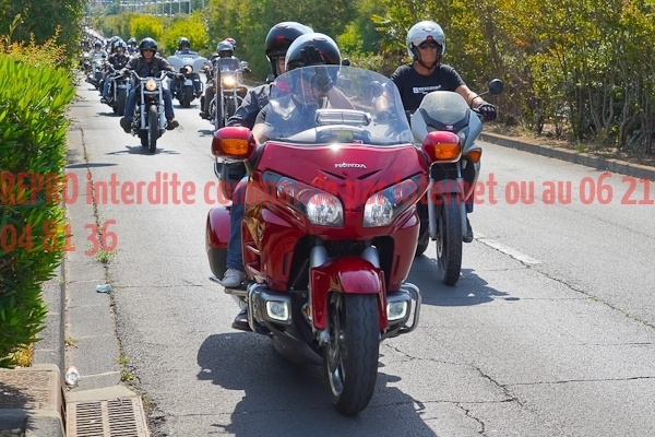 4190_photo_officielle_brescoudos