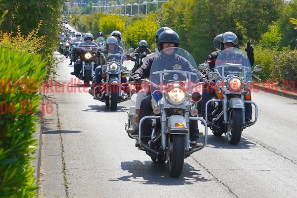 4273_photo_officielle_brescoudos