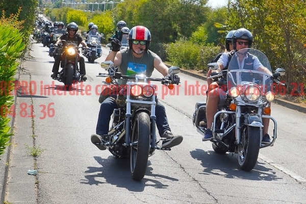 4295_photo_officielle_brescoudos