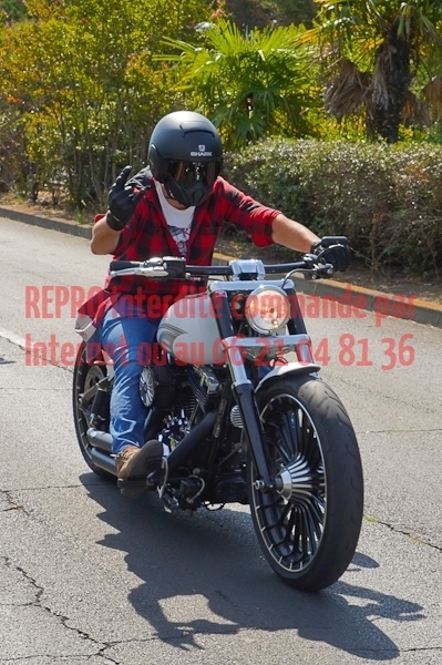 4342_photo_officielle_brescoudos