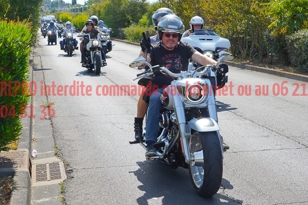 4381_photo_officielle_brescoudos