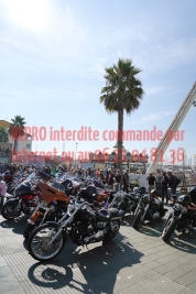 4005_photo_officielle_brescoudos