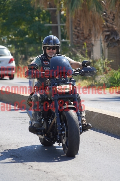 03936_Studio_PA