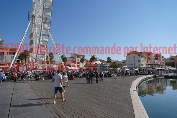 03845_Studio_PA