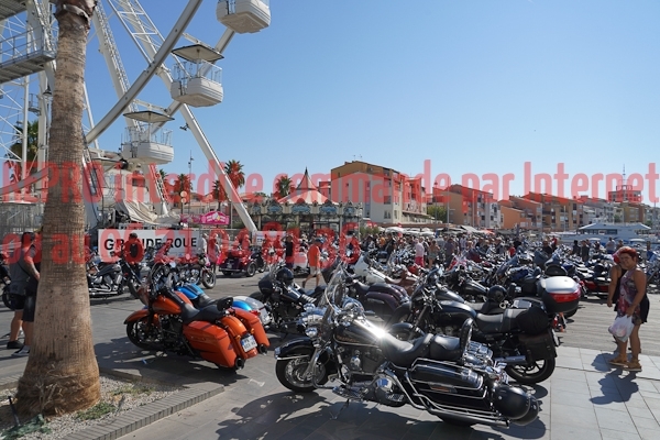 03883_Studio_PA