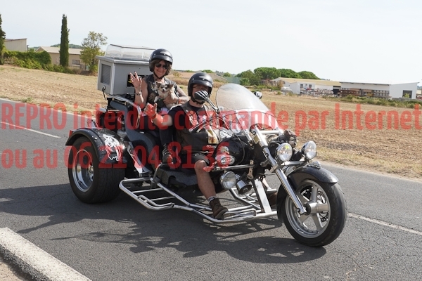 07337_Studio_PA
