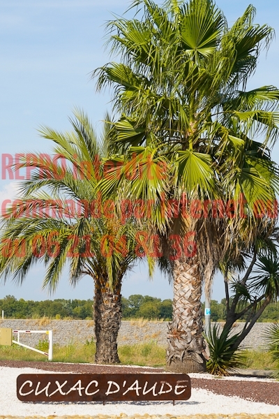 07853_Studio_PA