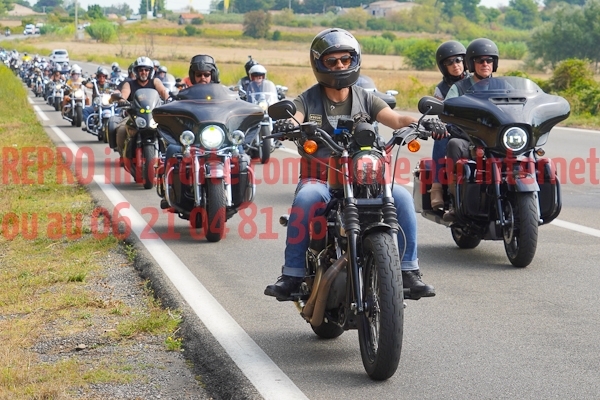 08178_Studio_PA