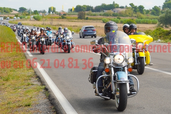 08236_Studio_PA
