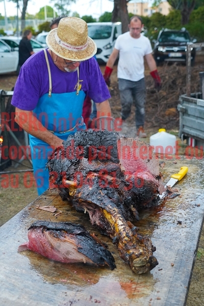 08431_Studio_PA