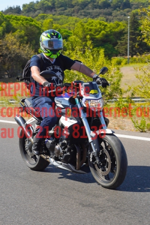 8072_photo_officielle_brescoudos