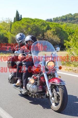 8099_photo_officielle_brescoudos