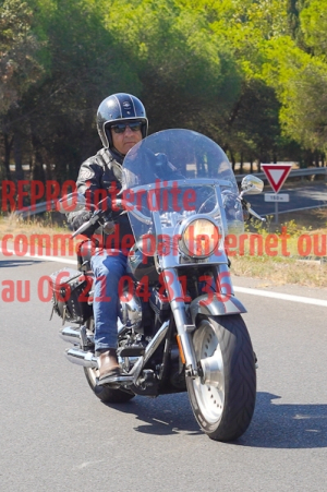 8116_photo_officielle_brescoudos