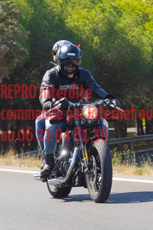 8430_photo_officielle_brescoudos