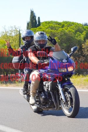 8540_photo_officielle_brescoudos