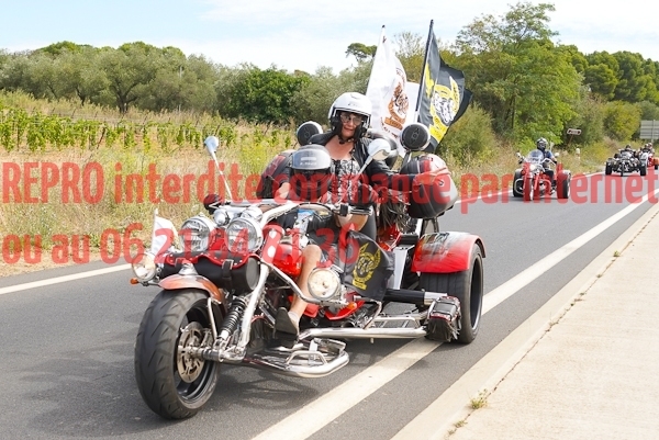 7116_photo_officielle_brescoudos