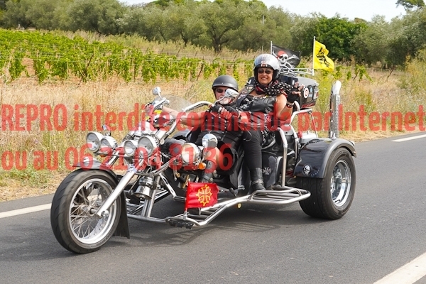 7135_photo_officielle_brescoudos