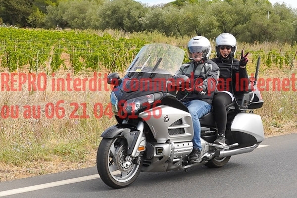 7198_photo_officielle_brescoudos