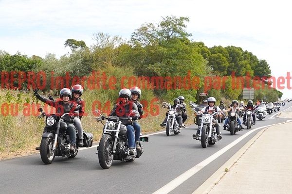 7209_photo_officielle_brescoudos