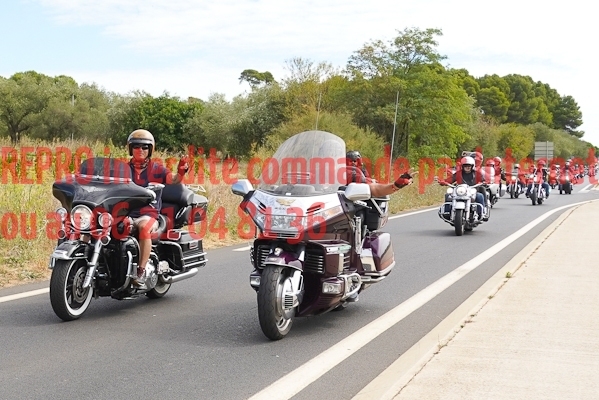 7225_photo_officielle_brescoudos