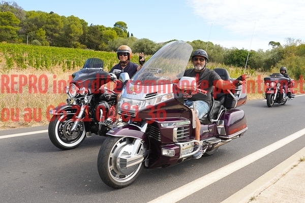 7228_photo_officielle_brescoudos