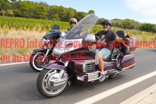 7229_photo_officielle_brescoudos