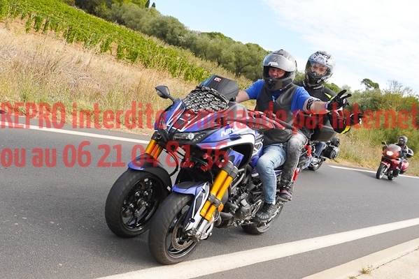 7240_photo_officielle_brescoudos