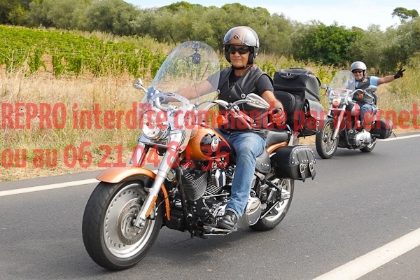 7251_photo_officielle_brescoudos