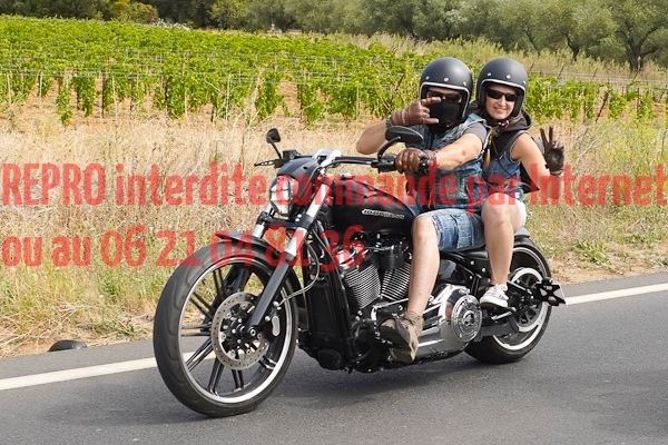 7269_photo_officielle_brescoudos