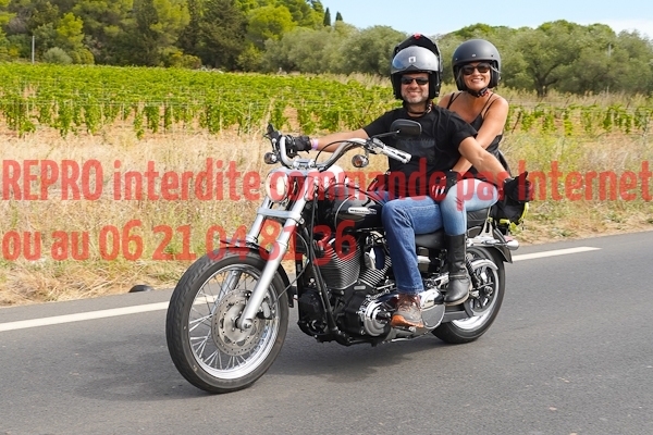 7274_photo_officielle_brescoudos