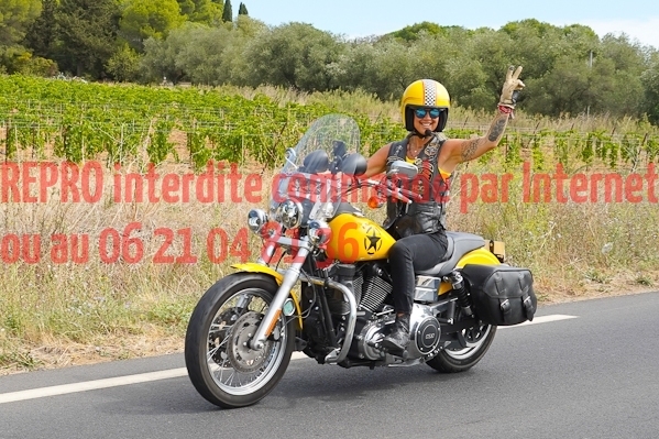 7286_photo_officielle_brescoudos