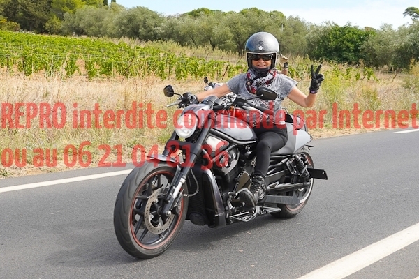 7288_photo_officielle_brescoudos