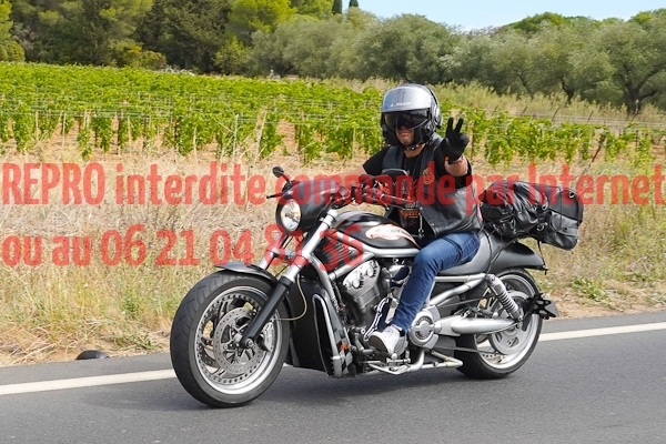 7293_photo_officielle_brescoudos