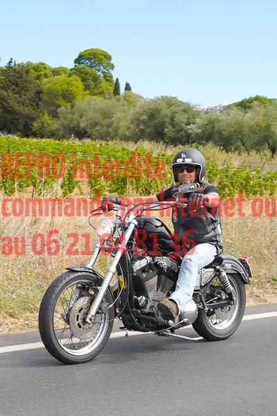 7305_photo_officielle_brescoudos