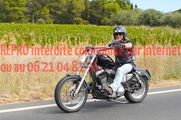 7306_photo_officielle_brescoudos