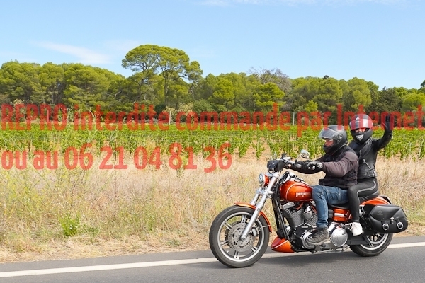 7332_photo_officielle_brescoudos