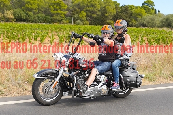 7337_photo_officielle_brescoudos