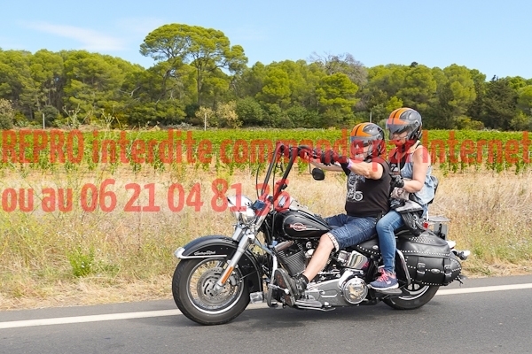 7338_photo_officielle_brescoudos