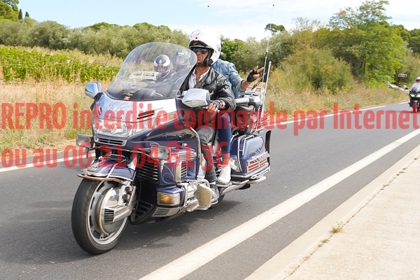 7385_photo_officielle_brescoudos