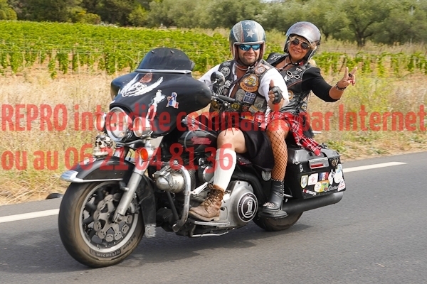 7390_photo_officielle_brescoudos