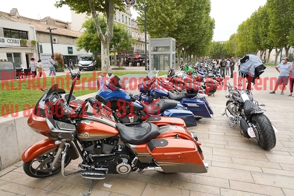 6315_photo_officielle_brescoudos