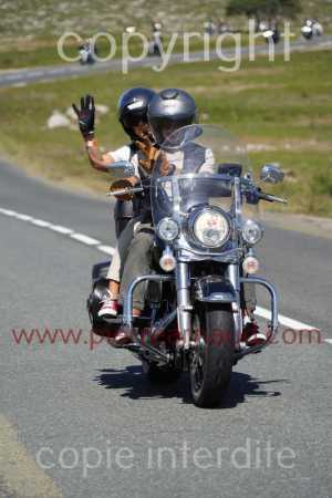 NUM08662