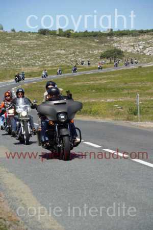 NUM08739