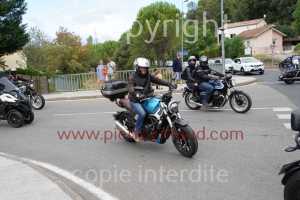 NUM06877