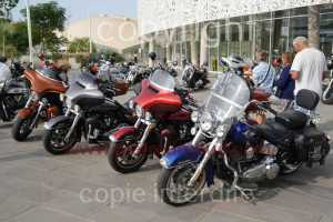 NUM07348