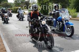 NUM07596