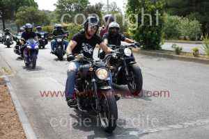 NUM07619