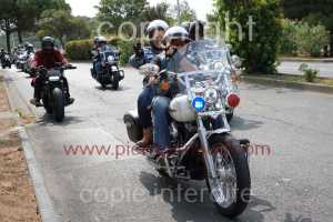 NUM07679