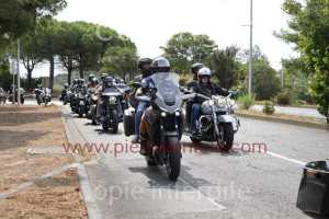 NUM07703