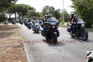 NUM07794